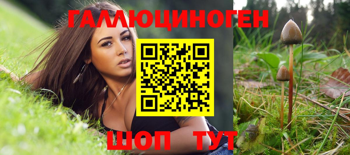Псилоцибиновые грибы GOLDEN TEACHER  цена   Красноармейск  Вход с VPN 